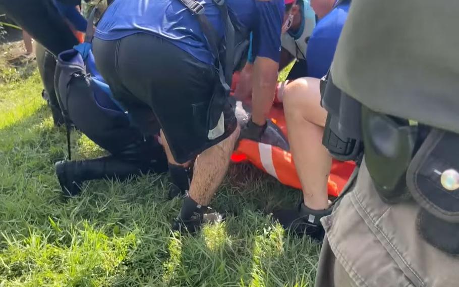 Crews wrap a baby dolphin that got stranded in a lake because of a Hurricane Ida. Veterinarians determined the dolphin was OK, and it was released back into the Gulf of Mexico.