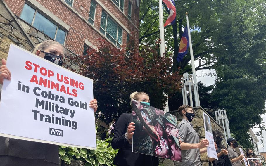 People for the Ethical Treatment of Animals protested outside the embassy of Thailand in Washington, D.C., on Thursday, June 3, 2021. The animal-rights group wants the U.S. military to stop the practice of killing king cobras during the military exercise Cobra Gold in Thailand.