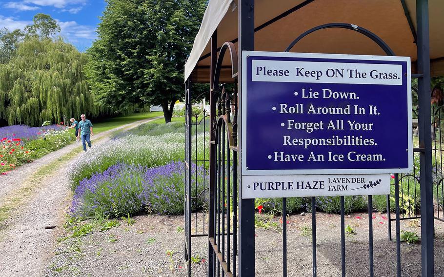 Purple Haze Lavender Farm in Sequim was one of the area’s first to open in the 1990s, when leaders decided to focus on growing the plant to attract tourists. 