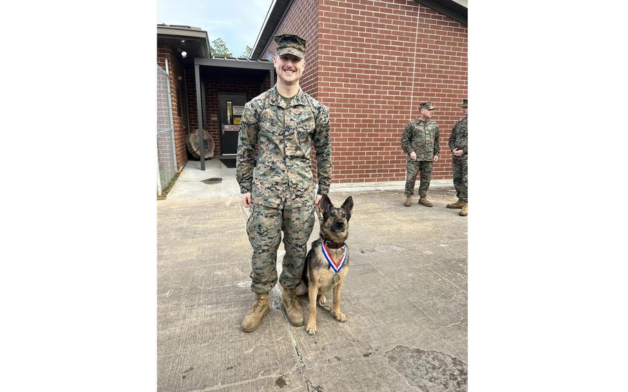 Gombi, a military working dog, was retired and adopted during a ceremony at the base.