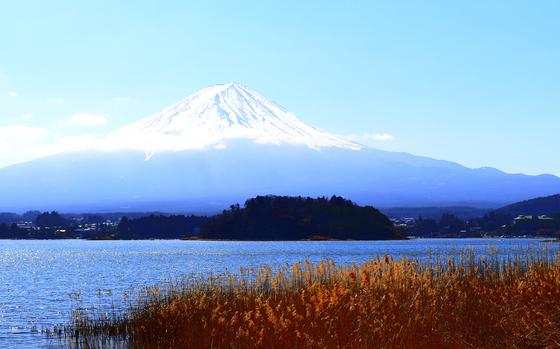 A snow-capped view of Mount Fuji from the banks of Lake Kawaguchiko in Yamanashi prefecture, Japan.