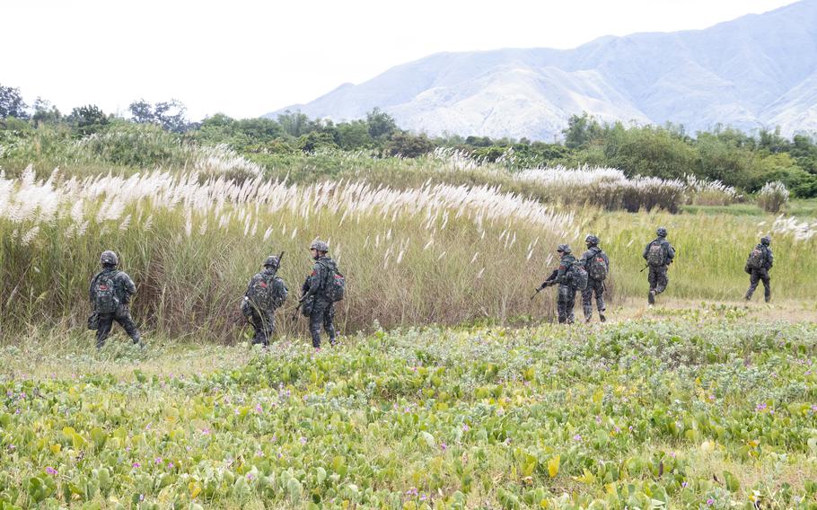 South Korean marines carrying rifles spread out in a field of tall wheat during an exercise.
