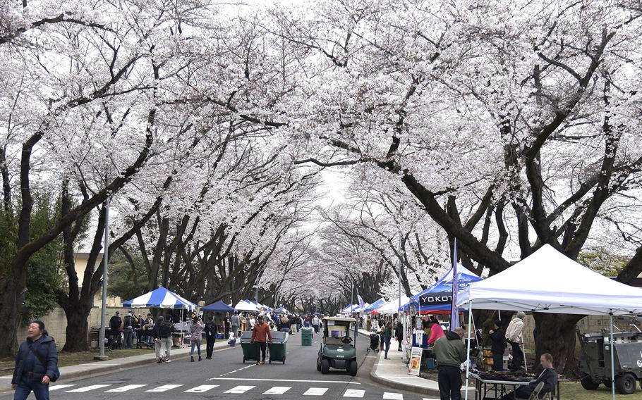 The Sakura Spring Festival gets underway on the east side of Yokota Air Base, Japan, Saturday, April 6, 2024.