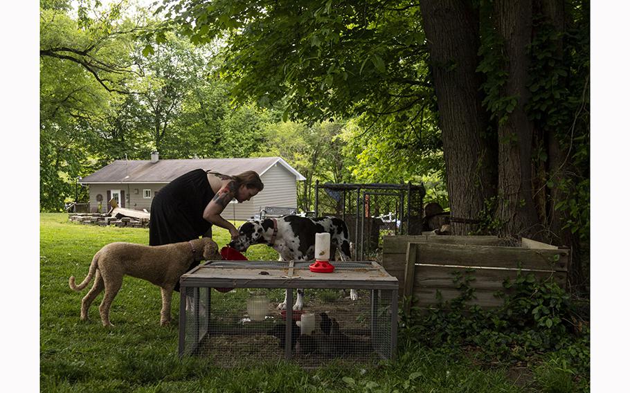 Amanda Kemmer was told during a community meeting that it was safe to eat the eggs from her backyard coop, but by the second meeting was advised against it. 