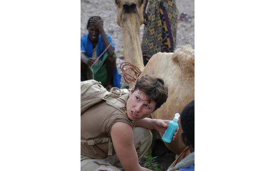 Djibouti, Africa, Jan. 4, 2004: At a veterinary civil action program in a remote valley near Tadjourah in Djibouti, Africa, Army 1st Lt. Amy Peterson-Coleell, 28, a veterinarian, treats a camel that was bitten by another camel. The Mt. Vernon, Ohio, native is a reservist with the 412th Civil Affairs Battalion.