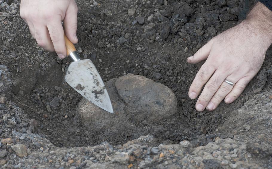 A dinosaur bone was discovered at Dinosaur Park in September 2011. 