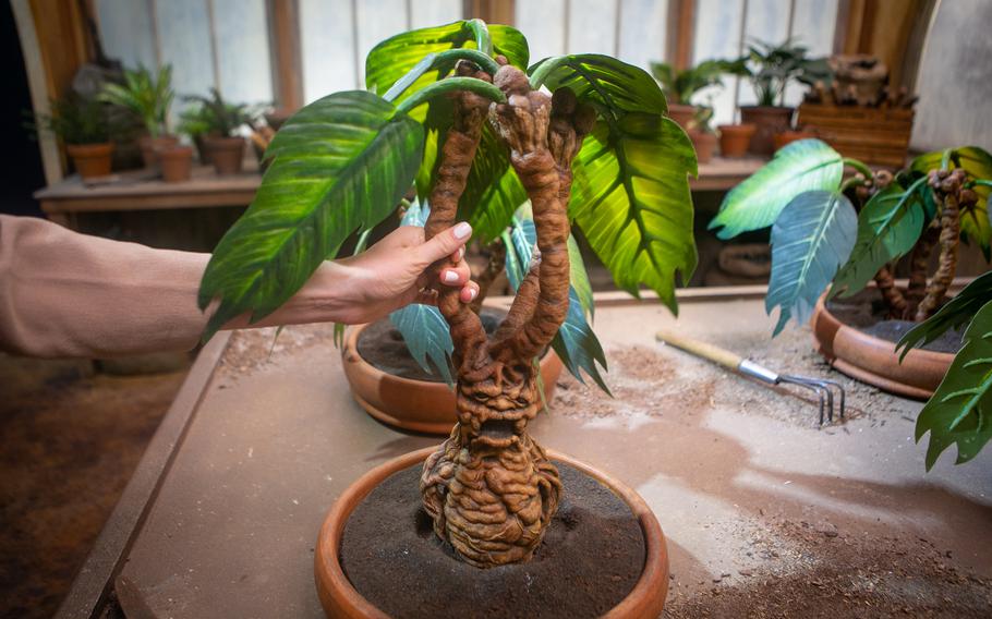 The tour includes an area where visitors can play in a faux greenhouse with screaming mandrake plants modeled after those in the "Harry Potter" films. 