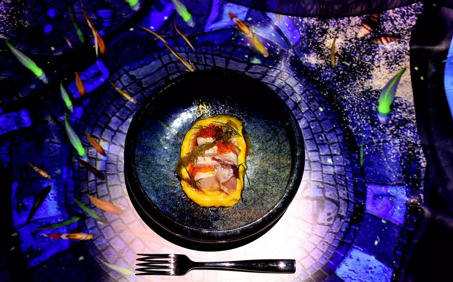Pictured is an example of the “Elementa” “water” dish, here hamachi and seaweed with kabocha squash and tamari-shiitake dashi dressing. 