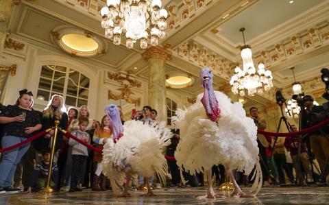 Biden is spending his 81st birthday honoring White Home custom of pardoning Thanksgiving turkeys