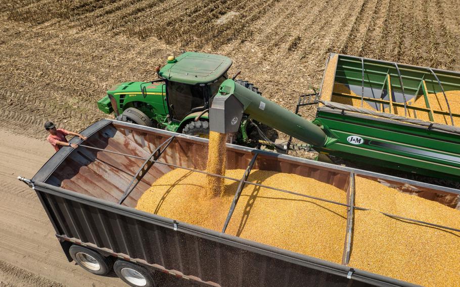 Corn is transferred from a grain cart to a truck during a harvest in Leland, Miss., on Aug. 16, 2022.