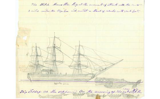 The Essex struck by a whale, a sketch by Thomas Nickerson.