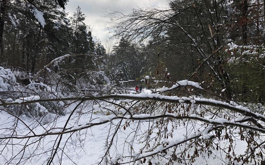 An April snowstorm left a trail of fallen trees in the Kaiserslautern, Germany, area on April 9, 2022.