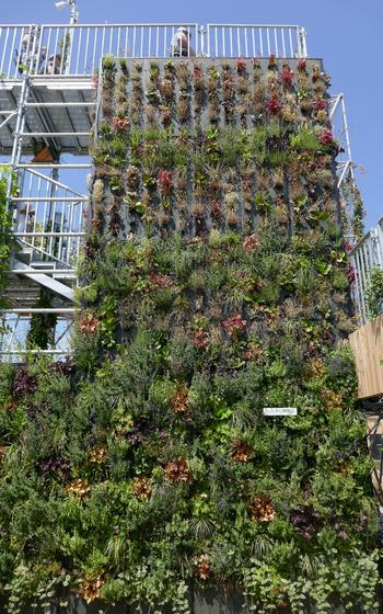 A display at the Bundesgartenschau in Mannheim, Germany, shows how covering a building’s facade with plants can help to keep it cooler.