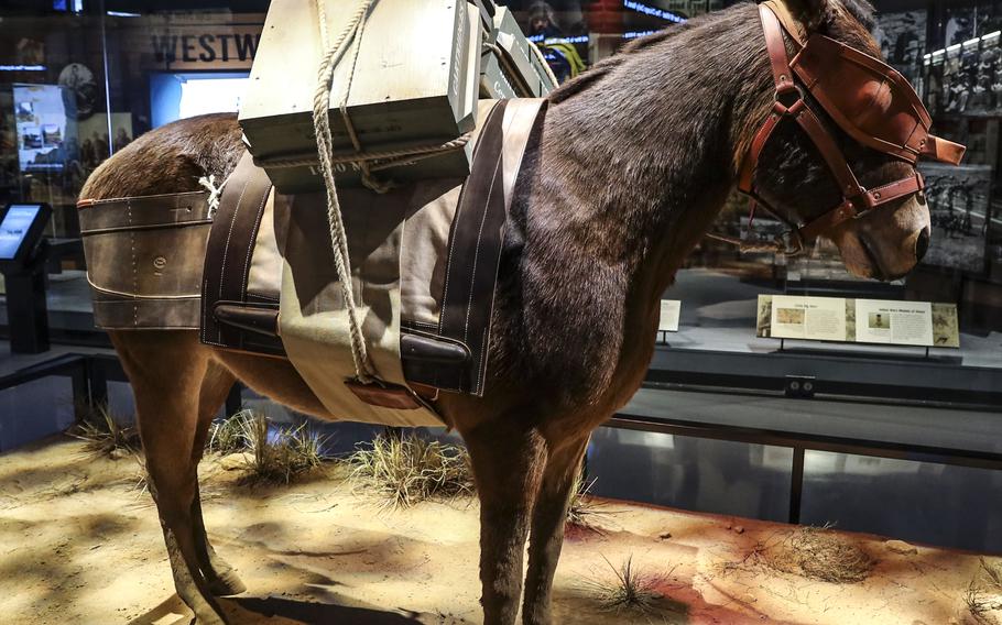 An exhibit honors Army pack mules at the National Museum of the United States Army on its reopening day, June 14, 2021.