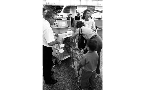 Frankfurt, Germany, Aug. 26, 1992; Delta representative Funda Dazioglu looks to help the next customer as Ety Garca and her son Francisco put their greyhound Starlight in his travelling kennel for their flight to Kenya. 

Happy National Pet Month to all the pet parents. Whether your companions are furry, or have scales, be sure to treat them (and yourself) a little extra this month. May we suggest some extra snugs and maybe a tasty insect (if your pet is of the scaley kind)?

META TAGS: National Pet Month; pet; pets; 