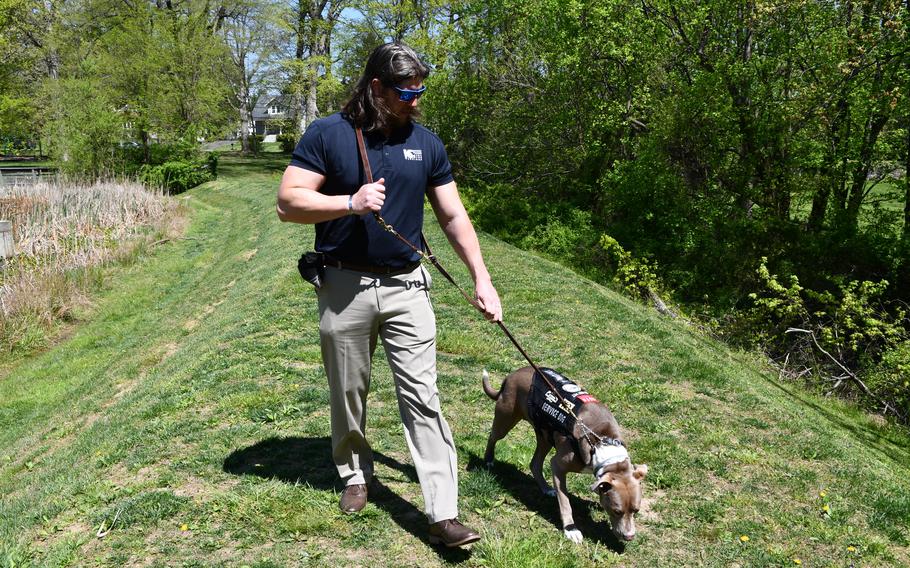 Veteran Bill Lins goes for a walk with his service dog, Link, at Friends Community Park in Forest Hill, Md., Wednesday, April 19, 2023. Lins received Link from K9s For Warriors in August 2022.