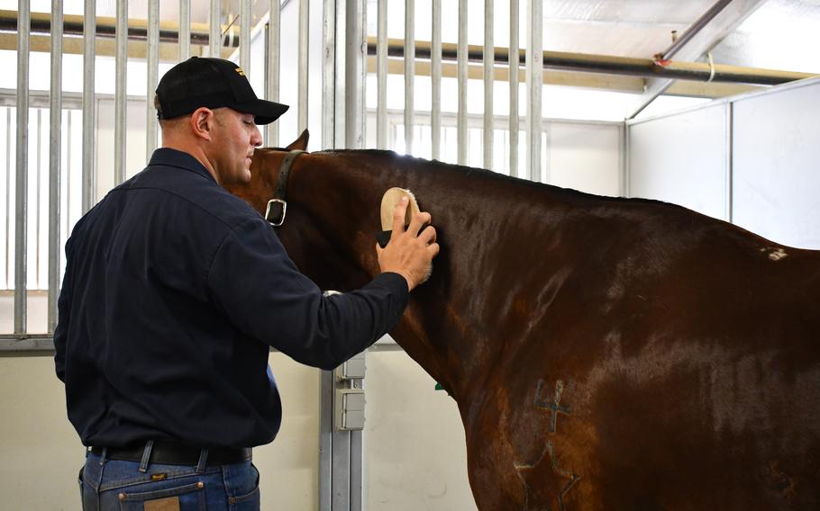 A horse is brushed by a soldier