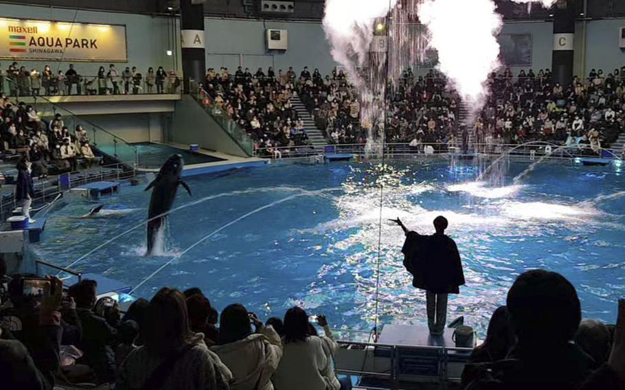 Regularly scheduled dolphin shows attracted a multitude of spectators to Maxell Aqua Park in central Tokyo.