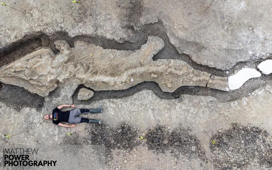 At around 32 feet with a skull weighing more than 2,000 pounds, the fossilized marine reptile is the largest and most intact prehistoric specimen ever found in the United Kingdom.
