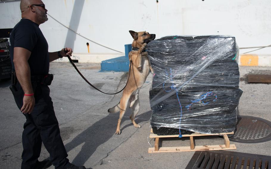 A dog inspects bales of cocaine