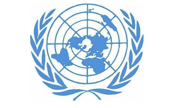 United Nations Multidimensional Integrated Stabilization Mission in Mali (MINUSMA) was established by Security Council resolution 2100 in 2013 to support political processes in Mali and carry out a number of security-related tasks. (United Nations Photo)