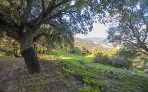 Rota Outdoor Recreation plans a trip to Spain’s Los Alcornocales Nature Reserve on May 17.