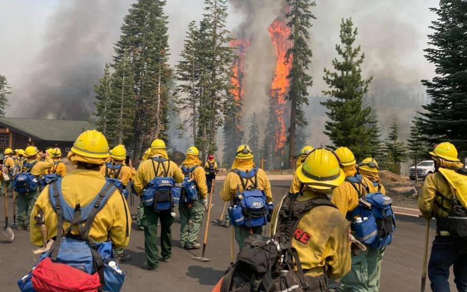 Trees burn within eyesight of a California National Guard hand crew with Joint Task Force 578 during the Dixie Fire on Aug. 16, 2021, in northern California.