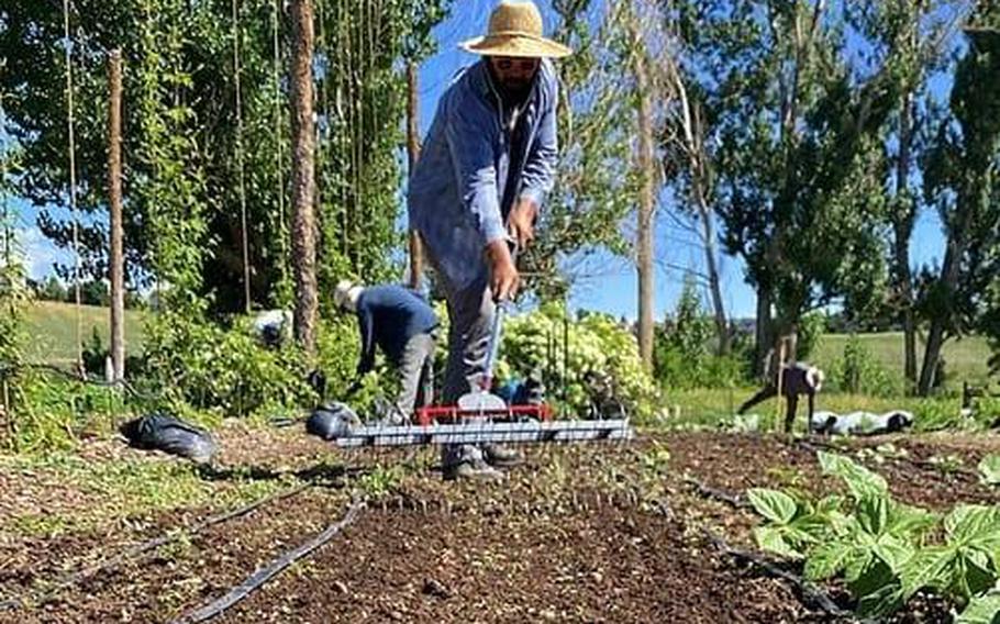 Navy veteran Johnathan Siren found a 21-week course through Veterans to Farmers, a Colorado-founded nonprofit that aims to teach veterans how to grow food sustainably. During that program, he came up with a business idea to help people start their gardens.