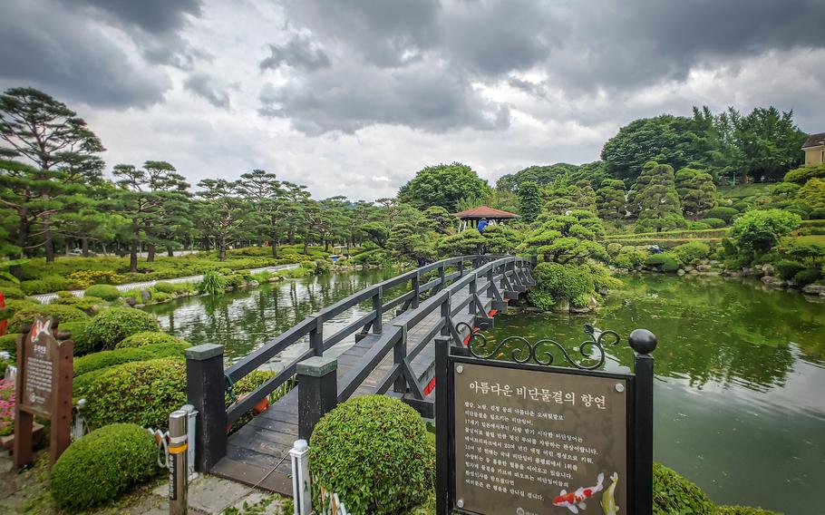 Bear Tree Park in Sejong City is a delightful spot to enjoy nature and animals in South Korea.