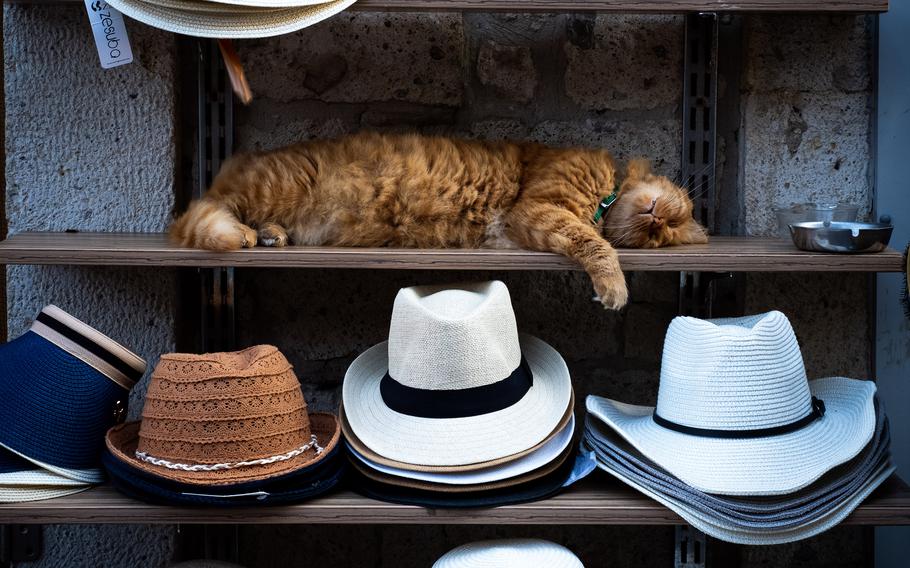 Catnaps and fashion pair perfectly in Alacatı on Turkey’s Cesme Peninsula. 