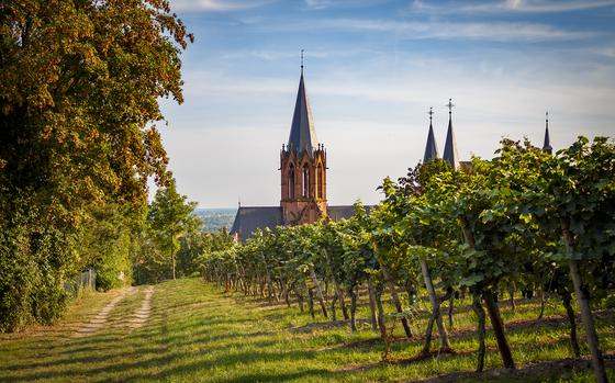 Baumholder Outdoor Recreation plans a wine walk in Oppenheim on April 26.