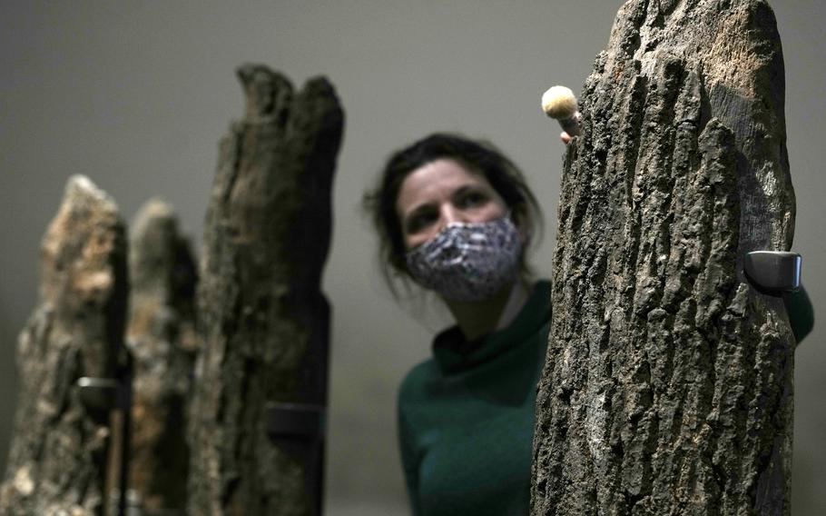 A member of staff dusts 4000 year old Bronze Age logs from the timber circle known as Seahenge, from Norfolk, England, on display at the ‘The World of Stonehenge’ exhibition at the British Museum in London, Monday, Feb. 14, 2022. The exhibition which displays objects and artifacts from the era of Stonehenge opens Feb. 17, and runs until July 17, 2022. 