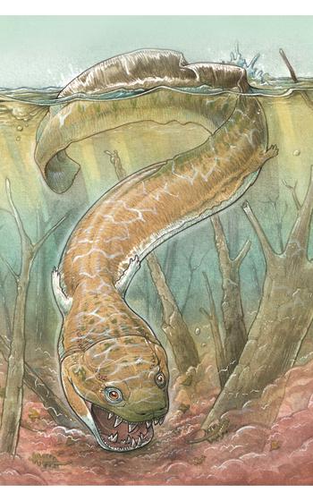 An illustration of Gaiasia jennyae. 