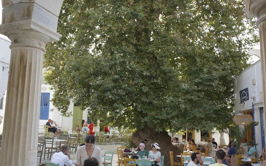 A large plane tree shades the café-lined, marble-paved central square in the village of Pyrgos on Tinos island, Greece, on Aug. 26, 2021. Tinian villages are richly decorated in marble from local quarries, and Pyrgos houses the marble craft museum as well as many artist workshops.