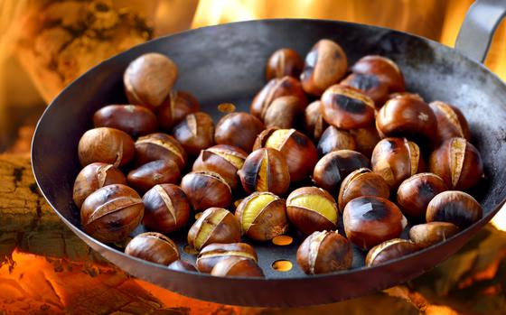 Roasted chestnuts and other seasonal treats await at fall festivals, including the events listed below in Belgium, Germany and Italy.