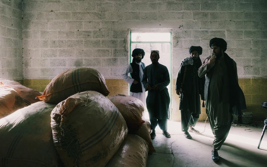 Taliban fighters enter a warehouse filled with sacks of ephedra plants that they have confiscated in Farah province, Afghanistan, on March 18.