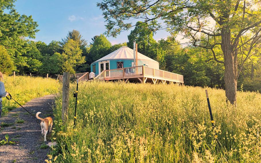 Yurts date from thousands of years ago but are now part of the glamping trend. Russell Prechtl and his husband, Craig Freeman, built Solar Solitude last year and started renting out the West Virginia property in March. 