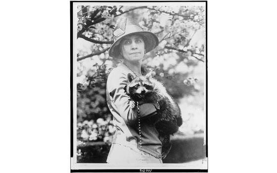 First lady Grace Coolidge holding her pet raccoon, Rebecca. (MUST CREDIT: Library of Congress)