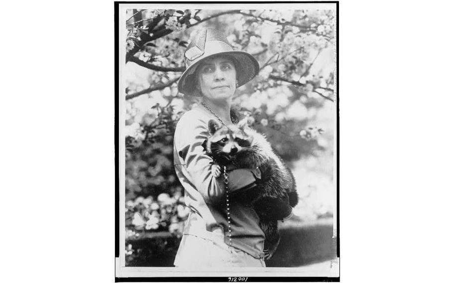 First lady Grace Coolidge holding her pet raccoon, Rebecca.
