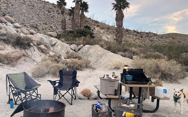 The author’s campsite setup at Agua Caliente County Park, an organized campground with tent and recreational vehicle campsites, cabins with air conditioning and heat, bathrooms with showers and even an amphitheater where the park sometimes hosts educational presentations. Other paid designated campgrounds are also available as are more primitive campgrounds; visitors may also be interested in dispersed camping, which is done on public lands outside of a designated campground.