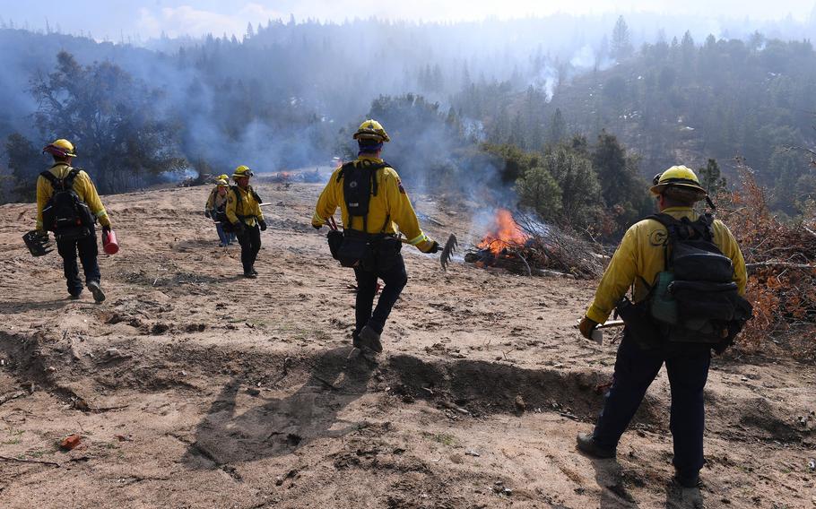 Firefighters approaching a forest fire