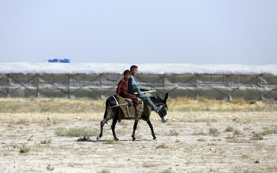 Boys travel on a donkey on the outskirts of Mazar-e-Sharif province north of Kabul, Afghanistan, Thursday, July 8, 2021.