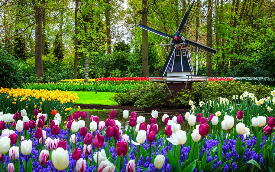 Spangdahlem plans a trip to the famous Keukenhof gardens in the Netherlands on April 23.
