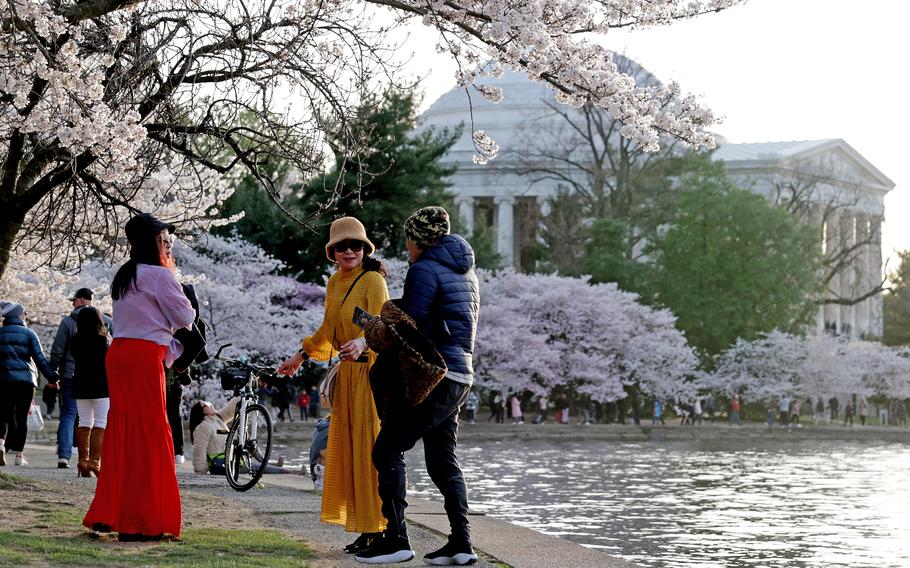 Visitors near the cherry blossom trees in full bloom at the Tidal Basin on March 19 in Washington. Spring is here and with it various pollen allergies, “spring fever,” sleep issues and the possible exacerbation of arthritis symptoms. 