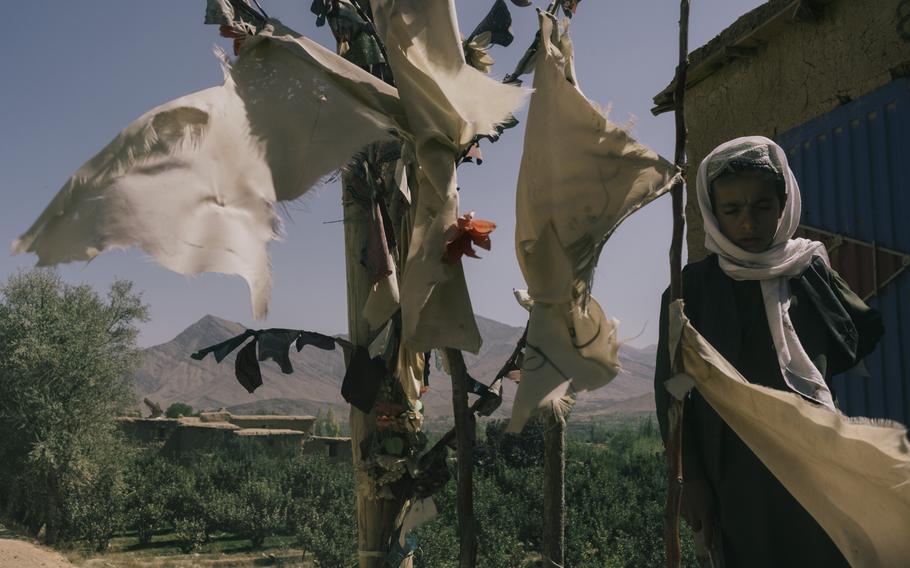 White flags in the village of Sinzai, Afghanistan, mark the spots where U.S. airstrikes killed Afghans. 