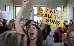 Emmie Wolf-Dubin, center, yells during a protest outside the House chamber after legislation passed that would allow some teachers to be armed in schools during a legislative session Tuesday, April 23, 2024, in Nashville, Tenn.