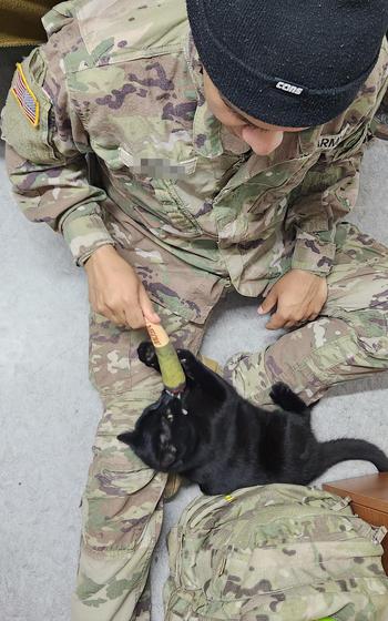 Jack the cat with Daniel Rueda in Kosovo, where the cat showed up one day at a U.S. military base.