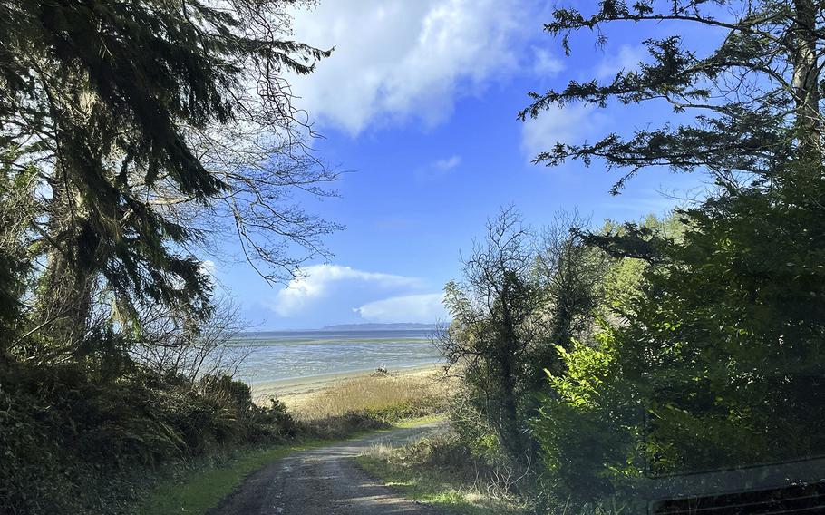 The community of Bay Center spreads along a narrow peninsula that juts into Willapa Bay. From this beach, you can peer out toward the bay mouth, where a notorious bar can make it a difficult passage to the sea.
