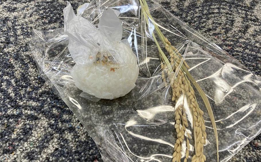 Students learned how to make onigiri, a Japanese snack, and were gifted a stalk of rice on Multicultural Day at John O. Arnn Elementary School near Camp Zama, Japan, on Feb. 15, 2024.