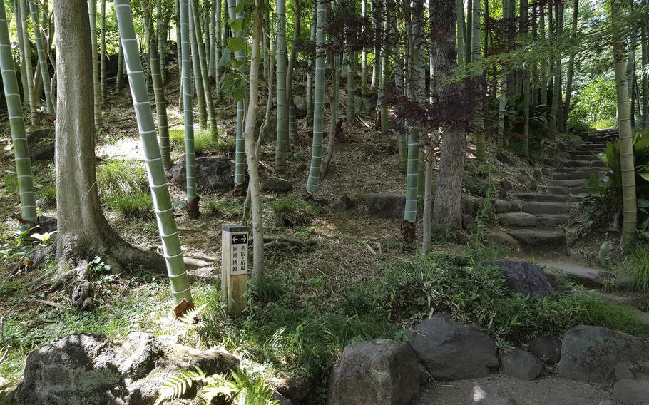 Todoroki Ravine Park in Setagaya, Tokyo, is known for its bamboo trees and other greenery.